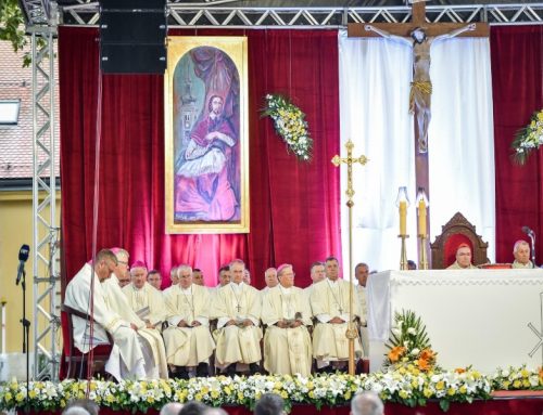 Sjemeništarci Varaždinske biskupije sudjelovali u slavlju srebrnog jubileja svoje Biskupije